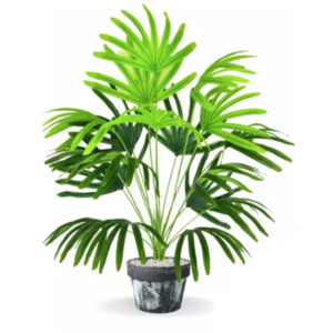 Planta Artificial Rafia