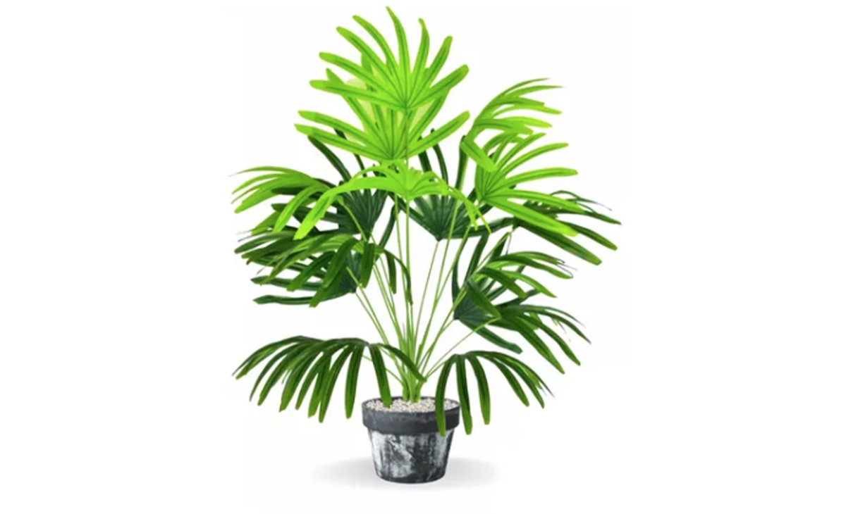 Planta Artificial Rafia
